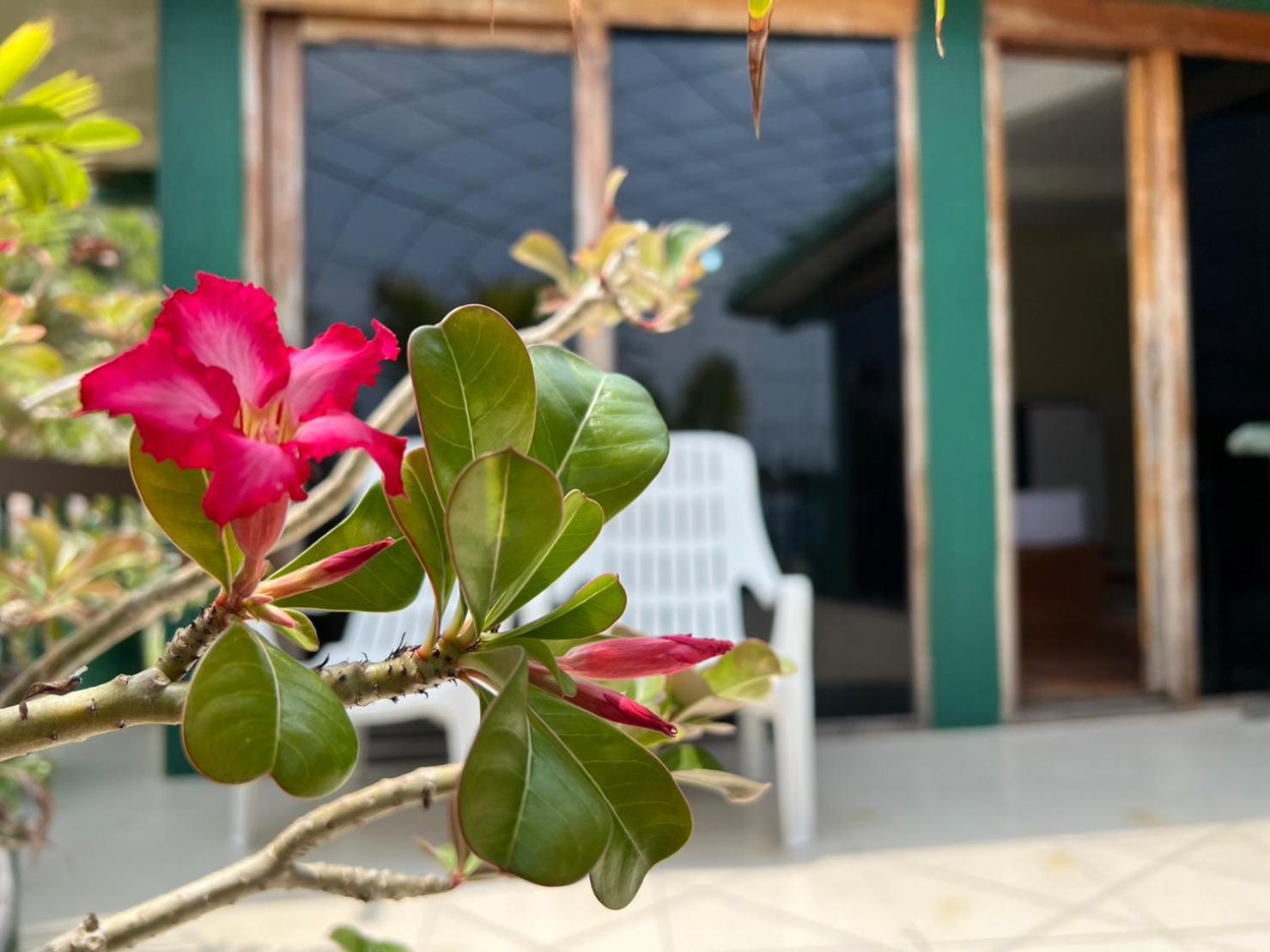 Hin Wong Apartments Dive & Snorkel Resort Koh Tao Exterior photo